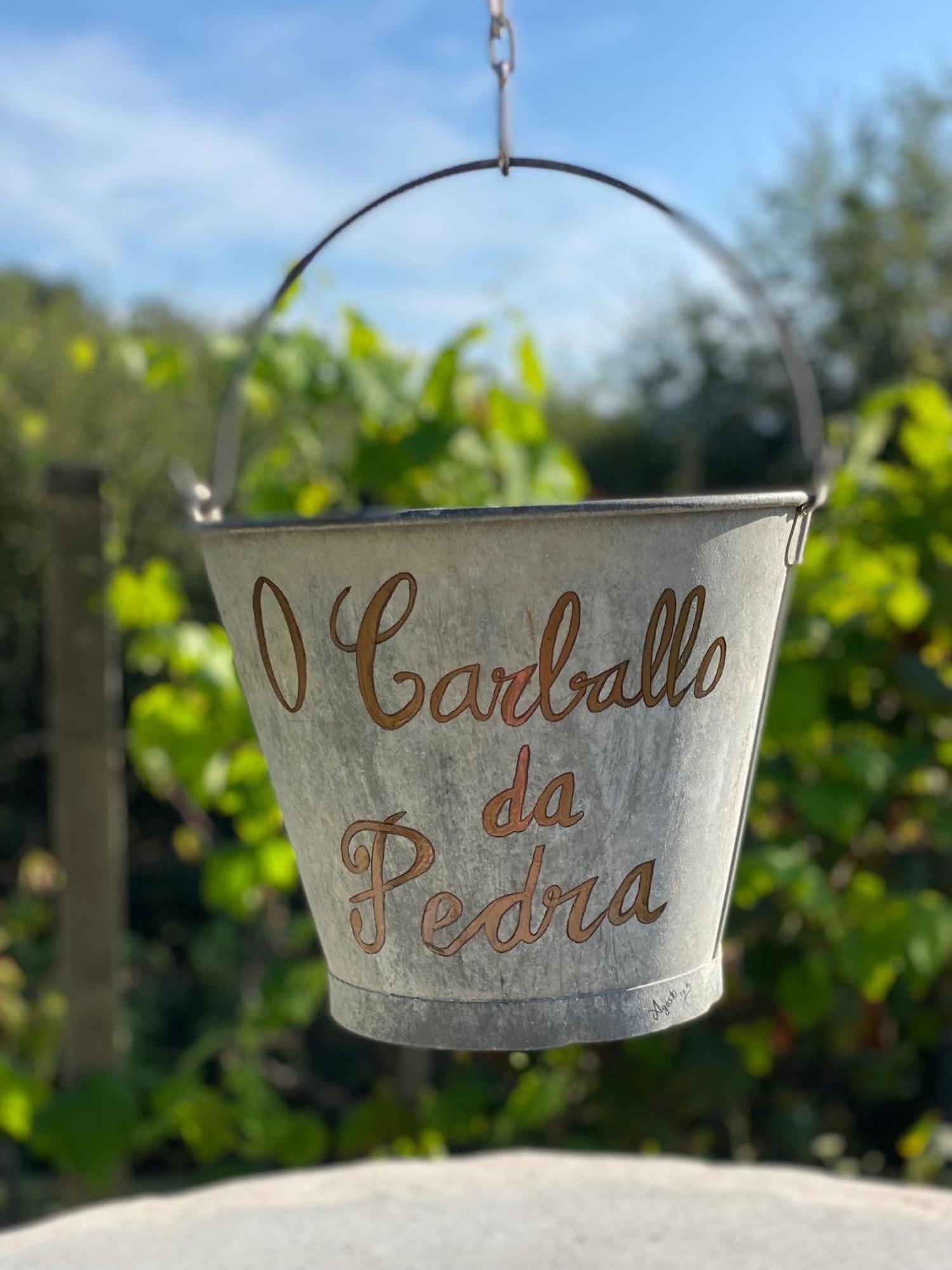 Casa Rural O Carballo Da Pedra La Caniza Екстер'єр фото